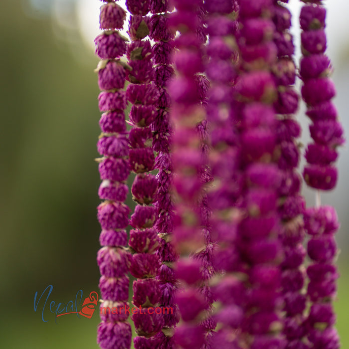 Makhamali Mala (For Bhaitika)