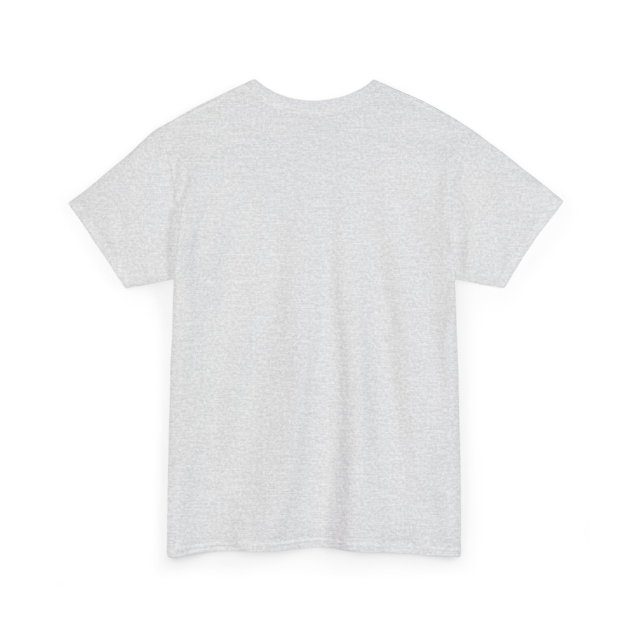 Octo Swyambhu Unisex Heavy Cotton Tee